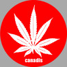 Canadis (10x10cm) - Autocollant(sticker)