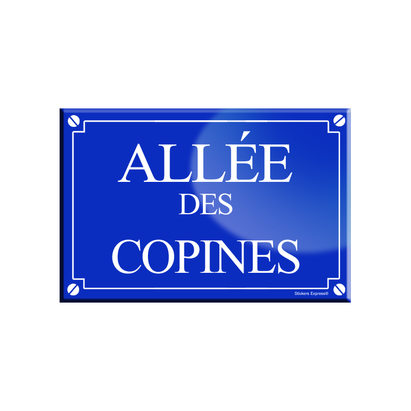 Allée des copines (20x13,2cm) - sticker/autocollant