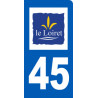 Autocollant (sticker): immatriculation motard 45 le Loiret