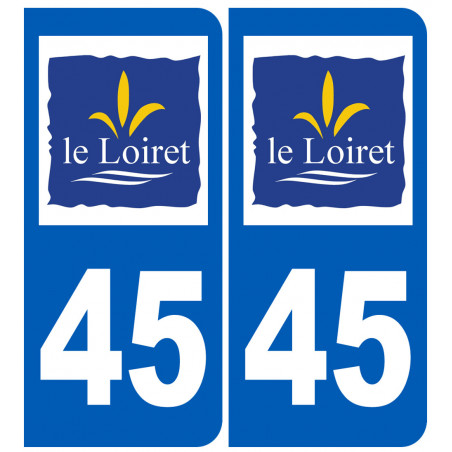 immatriculation 45 (Loiret) - Autocollant(sticker)