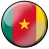 Autocollant (sticker): drapeau Camerounais