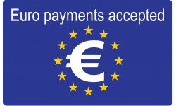 Euro payments accepted - 20x12.3cm - Autocollant(sticker)