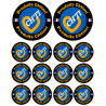 Produits Chtimi - 2 stickers de 10cm et 12 stickers de 5cm - Autocollant(sticker)