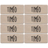 Prénom Timéo - 8 stickers de 5x2cm - Sticker/autocollant