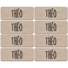 Prénom Théo - 8 stickers de 5x2cm - Autocollant(sticker)