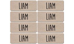 Prénom Liam - 8 stickers de 5x2cm - Autocollant(sticker)