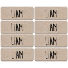 Prénom Liam - 8 stickers de 5x2cm - Autocollant(sticker)