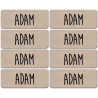 Prénom Adam - 8 stickers de 5x2cm - Autocollant(sticker)