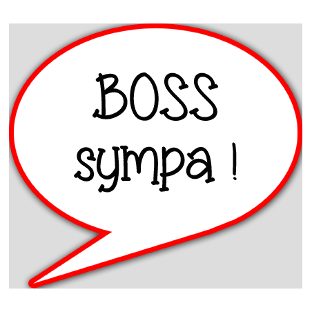 boss sympa - 15x13.5cm - Autocollant(sticker)