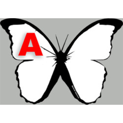 effet papillon A - 10cm - Sticker/autocollant
