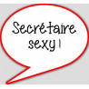 Secrétaire sexy - 15x13.5cm - Autocollant(sticker)