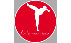 Arts martiaux karaté - 10cm - Autocollant(sticker)