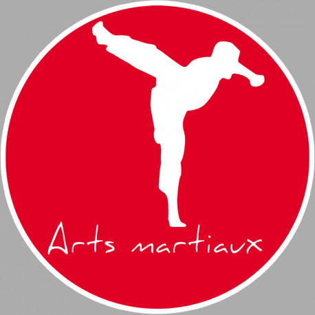 Arts martiaux karaté - 15cm - Autocollant(sticker)