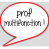 prof multifonction - 10x9cm - Autocollant(sticker)