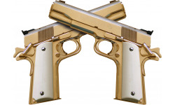 guns - 29,5x21cm - Autocollant(sticker)