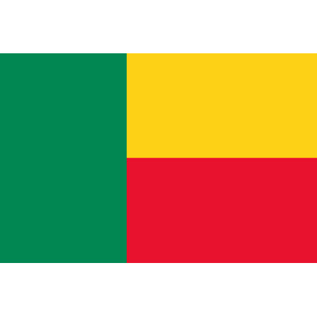 Drapeau Bénin - 19.5x13cm - Sticker/autocollant