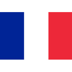 Drapeau France - 19.5x13cm - Sticker/autocollant