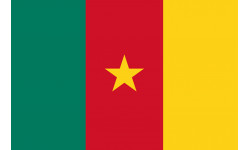 Drapeau Cameroun - 19.5 x 13 cm - Autocollant(sticker)