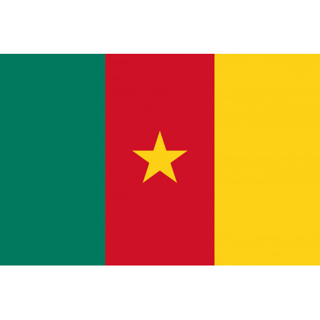 Drapeau Cameroun - 19.5 x 13 cm - Autocollant(sticker)