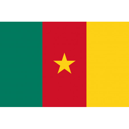 Drapeau Cameroun - 19.5 x 13 cm - Autocollant(sticker)