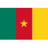 Drapeau Cameroun - 19.5 x 13 cm - Autocollant(sticker)