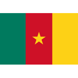 Drapeau Cameroun - 15 x 10 cm - Sticker/autocollant