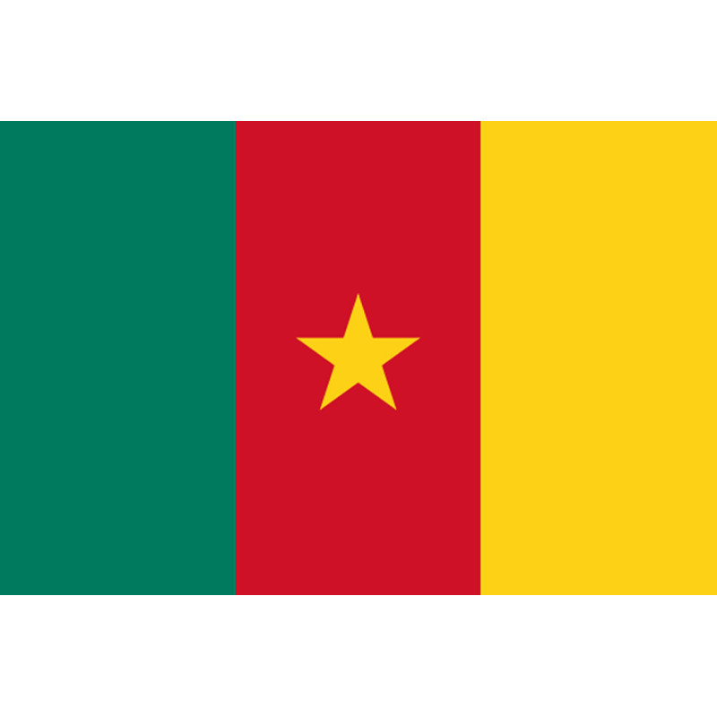 Drapeau Cameroun - 5 x 3,3 cm - Sticker/autocollant