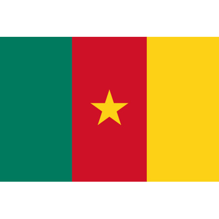Drapeau Cameroun - 5 x 3,3 cm - Sticker/autocollant