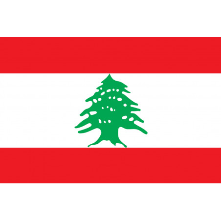 Drapeau Liban - 19,5x13 cm - Autocollant(sticker)