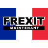 FREXIT - 29x19cm - Autocollant(sticker)