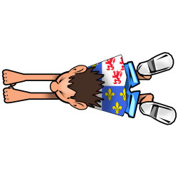 attrape voiture Picard - 28x12cm - Sticker/autocollant