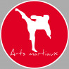 Arts martiaux série 5 - 15cm - Autocollant(sticker)