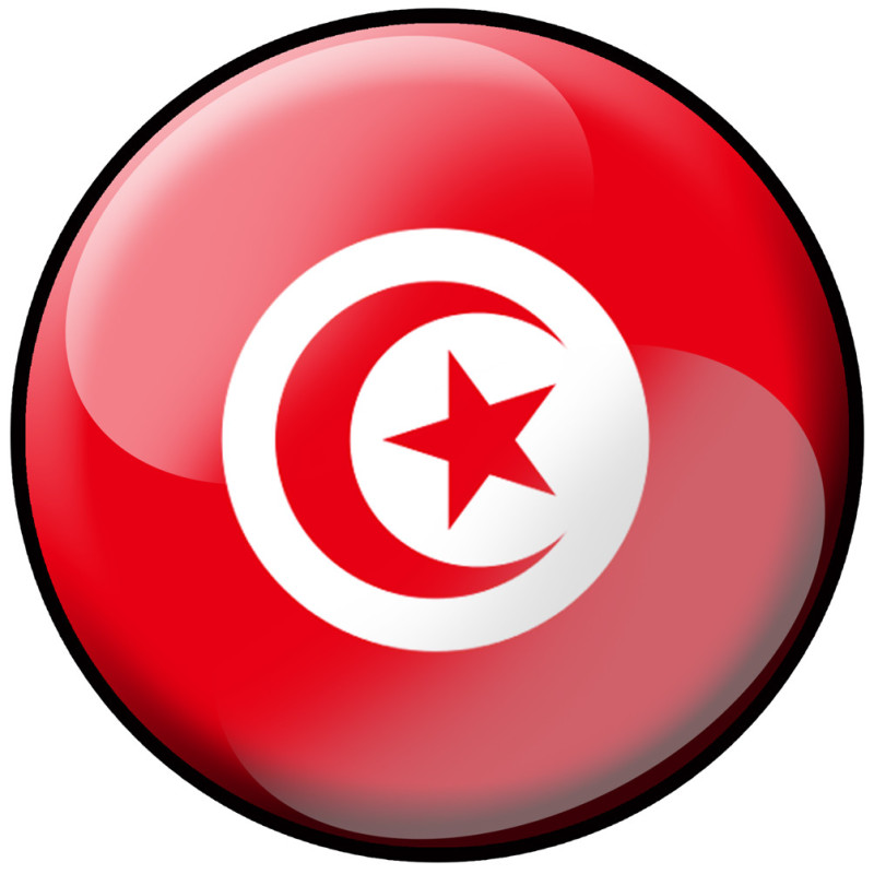 drapeau Tunisien rond - 20cm - Sticker/autocollant