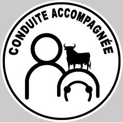 A espagnol toro - 15cm - Sticker/autocollant