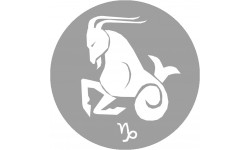 signe zodiaque capricorne rond - 5cm - Autocollant(sticker)