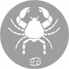 signe zodiaque scorpion rond - 8cm - Autocollant(sticker)