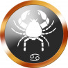 signe du zodiaque scorpion rond doré - 8cm - Autocollant(sticker)