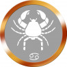 signe zodiaque scorpion rond doré - 10cm - Autocollant(sticker)