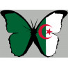 effet papillon Algérien - 15x10.5cm - Autocollant(sticker)