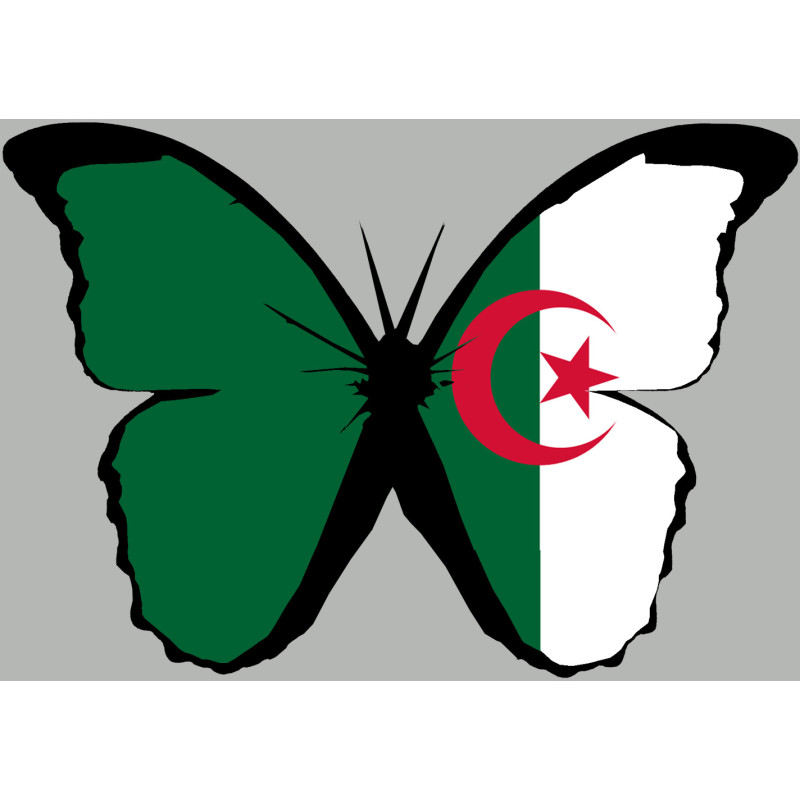 effet papillon Algérien - 10x7cm - Sticker/autocollant