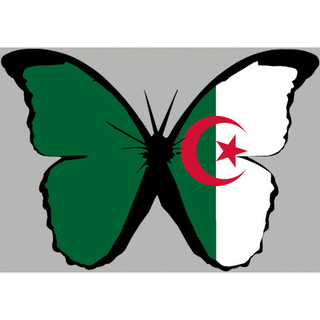 effet papillon Algérien - 10x7cm - Autocollant(sticker)