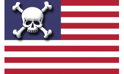 drapeau US crâne - 19,5x13cm - Autocollant(sticker)