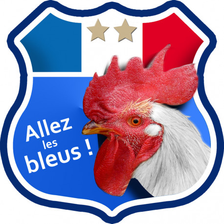 Allez les bleus deux étoiles ! - 5x5cm - Autocollant(sticker)