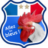 Allez les bleus deux étoiles ! - 20x20cm - Autocollant(sticker)