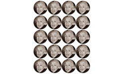 Albert Einstein (20 fois 5cm) - Autocollant(sticker)