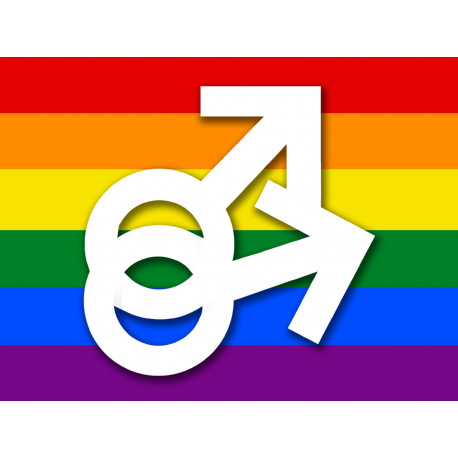 DRAPEAU LGBT gay  - 20x15cm - Autocollant(sticker)