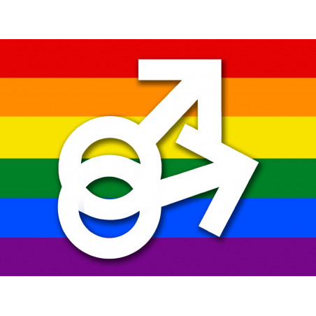 DRAPEAU LGBT gay  - 20x15cm - Autocollant(sticker)