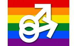 DRAPEAU LGBT gay  - 15x11cm - Autocollant(sticker)