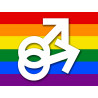 DRAPEAU LGBT gay  - 5x3.7cm - Autocollant(sticker)