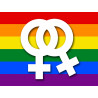 DRAPEAU LGBT lesbien - 29x21.7cm - Autocollant(sticker)